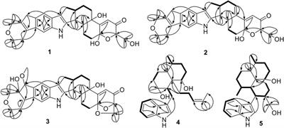 Anti-Diabetic Indole-Terpenoids From Penicillium sp. HFF16 Isolated From the Rhizosphere Soil of Cynanchum bungei Decne